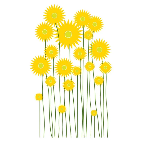Jarní Květina Ranní Jarní Květiny Izolované Bílém Pozadí Žlutý Květ — Stockový vektor