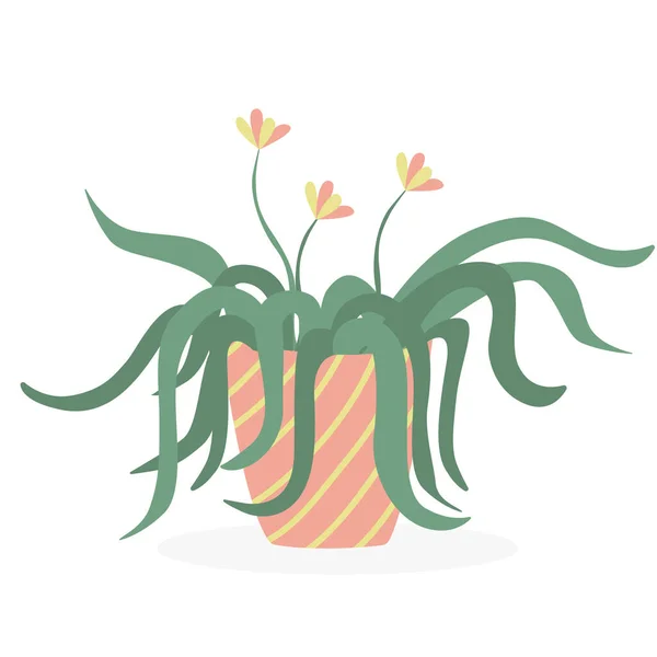 Spinnenpflanze Einem Blumentopf Vektor Handgezeichnete Illustration Einer Zimmerpflanze Isoliert Auf — Stockvektor