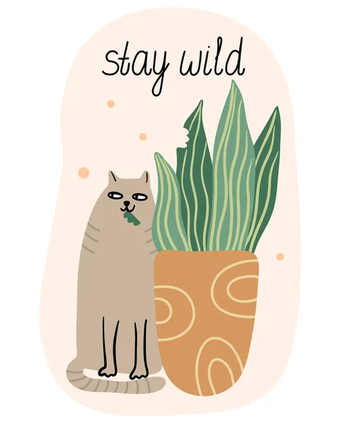 Bleiben Sie Wild Karte Mit Einer Katze Die Sansevieria Zimmerpflanze — Stockvektor
