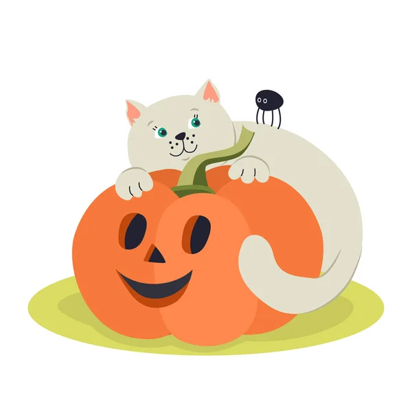 Komik Kedi Yavrusu Balkabağı Çizimi Vektör Çizimi Cadılar Bayramı Posterleri — Stok Vektör