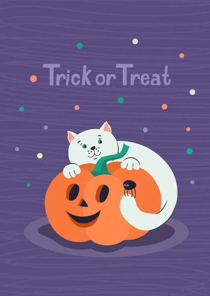 Truc Trakteer Halloween Wenskaart Met Schattige Witte Kitten Jack Lantaarn — Stockvector