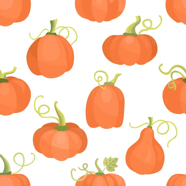 Autumn Seamless Patterns Pumpkins White Background Hand Drawn Flat Illustration — Stock Vector