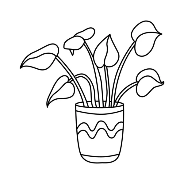 Gospodarstwo Domowe Doniczce Wektor Doodle Ręcznie Rysowane Ilustracja Roślin Doniczkowych — Wektor stockowy