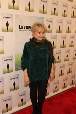 Yazar olmaya karar veren yanmış bir araba satıcısı hakkındaki kısa film Leydeville 'in galası için kırmızı halı geliyor. İlham için memleketini ziyaret eder..