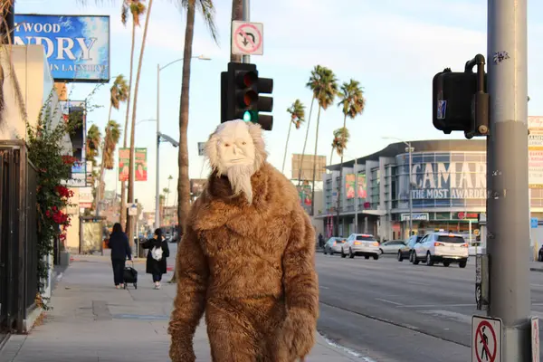 Los Angeles, CA - 1 Aralık 2023: Oscar için Billboard Açılış ve Aydınlatma Partisi filmi 