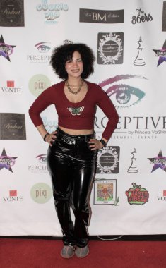 Glendale, CA - 14 Şubat 2024: Glendale Galerisi 'nde yenilikçi bir dükkan olan A Day of Wellness and Love' a kırmızı halı ve müşteri fotoğrafları geldi..