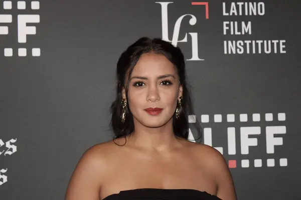 stock image Los Angeles, CA - June 1, 2024: Red carpet arrivals at the premiere of The Unexpecteds, part of the LALIFF Film Festival held at the Regal Theater at LA Live.