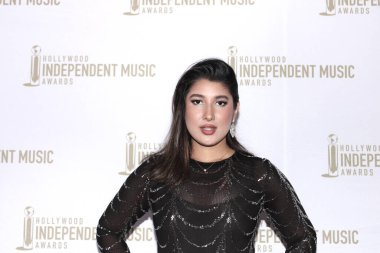 Hollywood, CA - 18 Temmuz 2024: Hollywood 'daki Avalon' da düzenlenen HIMA Ödülleri için kırmızı halı geldi.