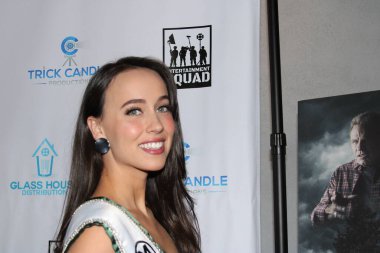 Hollywood, CA - 2 Aralık 2024: Hollywood Harmony Tiyatrosu 'ndaki Dark Night of the Soul için kırmızı halı geldi. Prömiyere oyuncular ve gerilim ekibi katıldı ve ardından bir parti daha yapıldı..