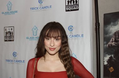 Hollywood, CA - 2 Aralık 2024: Hollywood Harmony Tiyatrosu 'ndaki Dark Night of the Soul için kırmızı halı geldi. Prömiyere oyuncular ve gerilim ekibi katıldı ve ardından bir parti daha yapıldı..