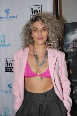 Hollywood, CA - 2 Aralık 2024: Hollywood Harmony Tiyatrosu 'ndaki Dark Night of the Soul için kırmızı halı geldi. Prömiyere oyuncular ve gerilim ekibi katıldı ve ardından bir parti daha yapıldı..