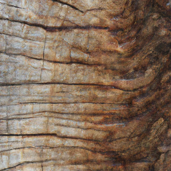 Texture Longitudinal Section Old Tree High Quality Photo — Stock Photo, Image
