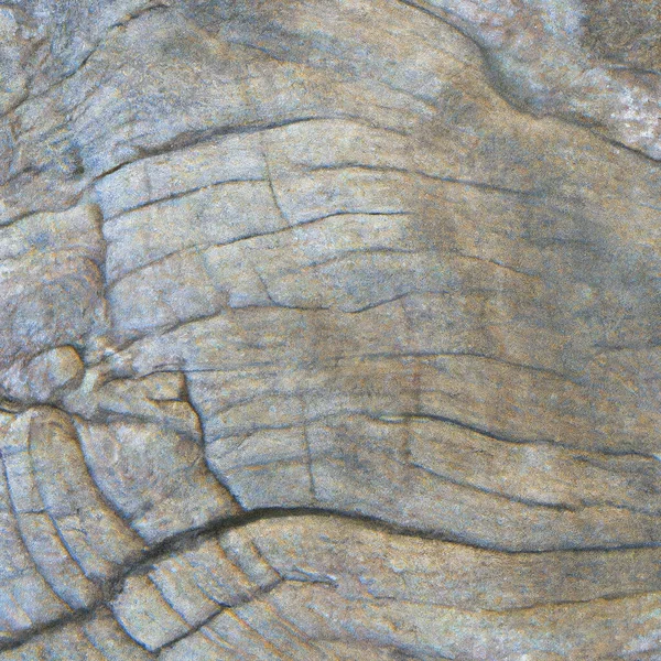 Текстура Продольного Сечения Старого Дерева Высокое Качество Фото — стоковое фото