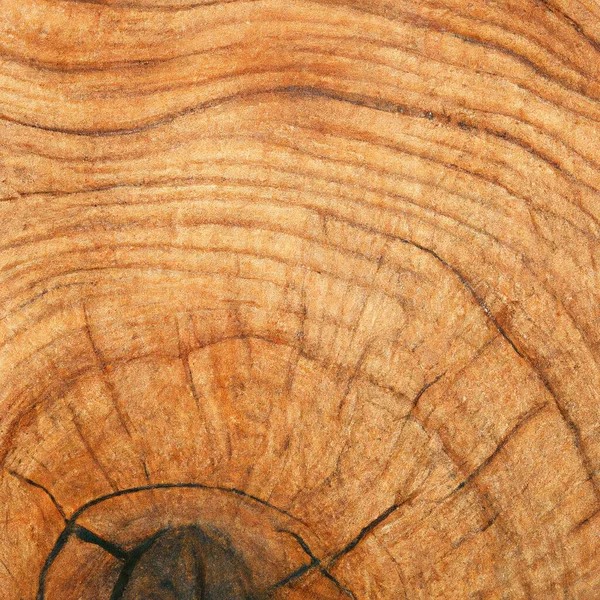 用老木料做的横向纹理切割 高质量的照片 — 图库照片