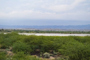 Nehrin güzel manzarası ve arka plandaki dağlar.