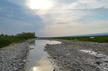 Pakistan 'daki Balochsitan ormanının manzarası.