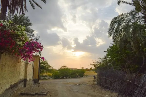 Şehirde güzel bir gün batımı