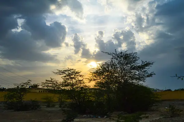 günbatımı gökyüzü bulut ve ağaçla