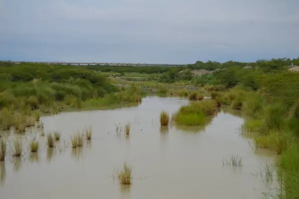 Turbat 'ın küçük gölü