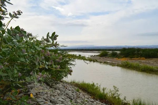 Parktaki nehrin güzel manzarası