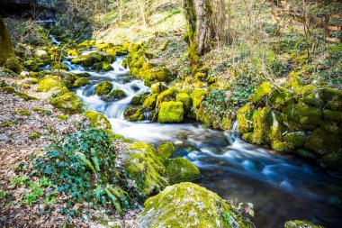 The Vadul Crisului waterfall which starts from the cave with the same name and drops in Crisul Repede river, Piatra Craiului Mountain, Bihor county, Romania. clipart