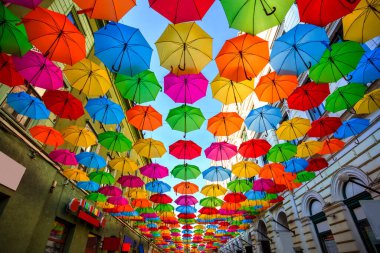 Romanya 'nın Timisoara kentinin eski sokaklarında asılı renkli şemsiyeler. Fotoğraf 21 Nisan 2019 'da çekildi..