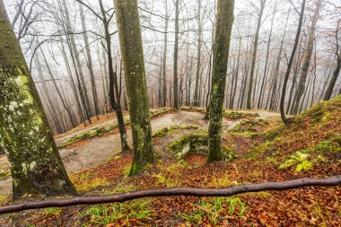 Mystical ancient forest ruins. Photo taken on 30th of November 2019 in the ancient forests around Sarmizegetuza Regia (the ex-capital of Dacia), Hunedoara county, Romania. clipart