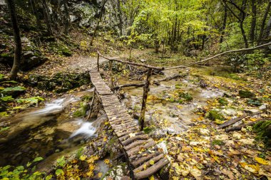 Yılın en görkemli mevsiminde, orman manzarası. Fotoğraf, 1 Kasım 2020 'de Romanya' daki Susara Vadisi 'ndeki Ulusal Park Cheile Nerei yürüyüşü sırasında çekildi..