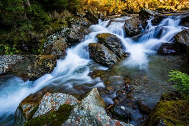 Sucu şelalesi ormandaki dramatik manzara. Fotoğraf: 15 Kasım 2020 'de Romanya' nın Caras-Severin ilçesi, Marului bölgesinde çekildi..