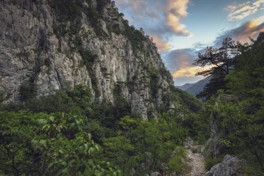 Tasnei Gorges ve Banat Black Pine 'ın muhteşem gökyüzüne bakın. Fotoğraf 9 Temmuz 2022 'de Romanya' nın Domogled-Cernei Vadisi 'ndeki Heculane yakınlarındaki Tasnei Groges' da çekildi..