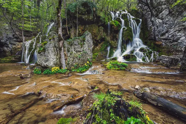 Beusnita III 'ten bir sahne, Nera Gorges-Beusnita Ulusal Parkı' nda yürürken bulunan küçük bir şelale. Fotoğraf 17 Nisan 2022 'de Oravita, Caras-Severin County, Romanya ve Avrupa yakınlarında çekildi..