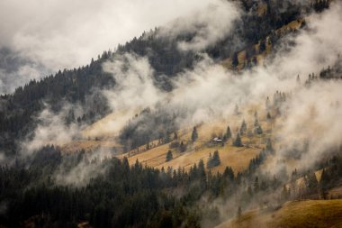 Karpatlar 'da sisli uzak bir kırsal alan. Fotoğraf: 1 Nisan 2023, Apuseni Dağları, Romanya.