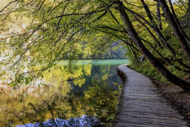 Güneşli bir sonbahar gününde Plitvice Gölleri Ulusal Parkı 'ndaki orman yolu. Fotoğraf 21 Ekim 2024 'te Hırvatistan' ın Plitvice Gölleri Ulusal Parkı 'nda çekildi..