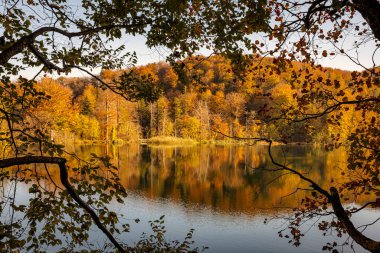 Güneşli bir sonbahar gününde Plitvice Gölleri Ulusal Parkı 'ndaki orman manzarasını yansıtıyordu. Fotoğraf 21 Ekim 2024 'te Hırvatistan' ın Plitvice Gölleri Ulusal Parkı 'nda çekildi..