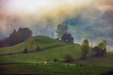 Early foggy morning surprised on an Romanian countryside during autumn. Photo taken on 12th of October 2024 in Dumesti, Transylvania region, Romania. clipart