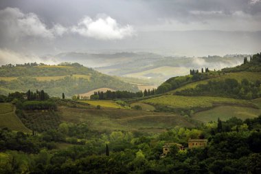 Tepelerde üzüm bağları olan Toskana manzarası, eski bir tabloya benziyor. Fotoğraf 24 Ekim 2023 'te San Gimignano, Val d Orcia, Toskana bölgesinde çekildi..