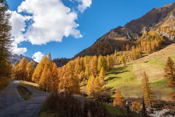 Herfst Landschap Opgenomen Een Zonnige Dag Zwitserse Alpen — Stockfoto