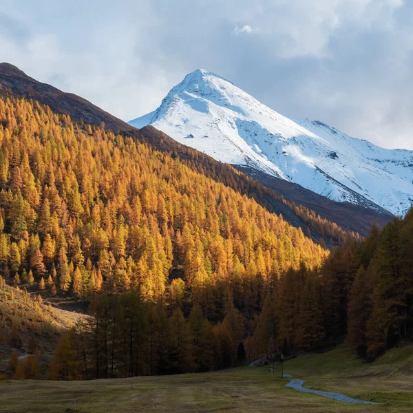 Pittoresk Berglandschap Met Een Besneeuwde Top Berg — Stockfoto