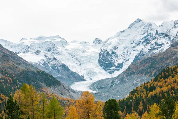 Paysage Montagneux Pittoresque Avec Glacier Des Pentes Montagneuses Couvertes Forêt — Photo