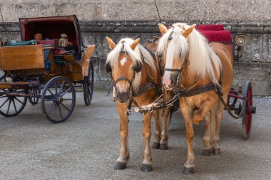 SALZBURG, AUSTRIA - HAZİRAN 21 bin 2022: Bir vagona bağlanmış iki at ve arabacı yolcuları bekliyor