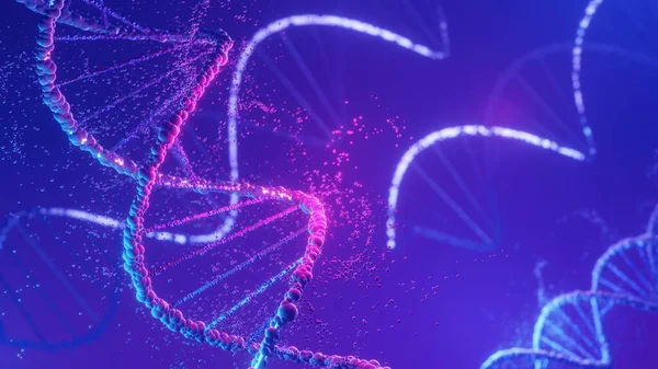 DNA spiral structure. DNA Helix complementary strand of  Sequences genetic code or genome. Gene expression. nucleotide database. The Central Dogma process of transcription and translation. 3D Render.
