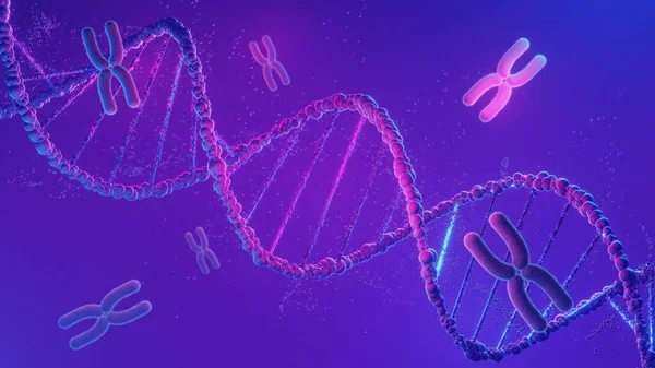 DNA spiral structure. DNA Helix complementary strand of  Sequences genetic code or genome. Gene expression. nucleotide database. The Central Dogma process of transcription and translation. 3D Render.