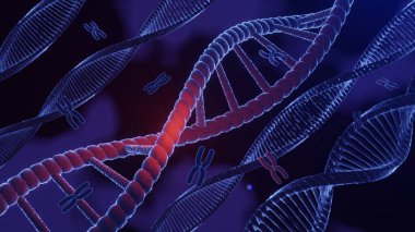 DNA sarmal yapısı. DNA Helix tamamlayıcı dizi genetik kod veya genom. Gen ifadesi. nükleotid veritabanı. Transkripsiyon ve çevirinin merkezi dogma süreci. 3B Hazırlama.