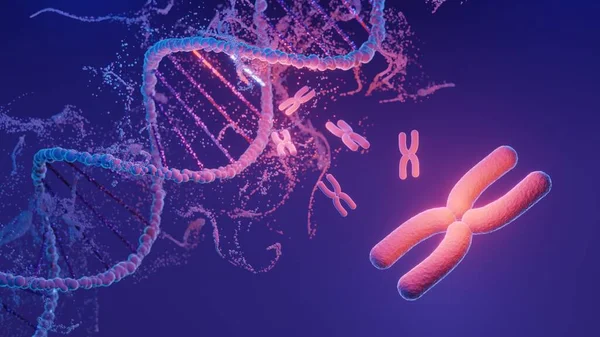 Dnaスパイラル構造 Dna配列遺伝コードまたはゲノムのヘリックス相補鎖 遺伝子発現 ヌクレオチドデータベース 転写と翻訳の中央ドグマプロセス 3Dレンダリング — ストック写真