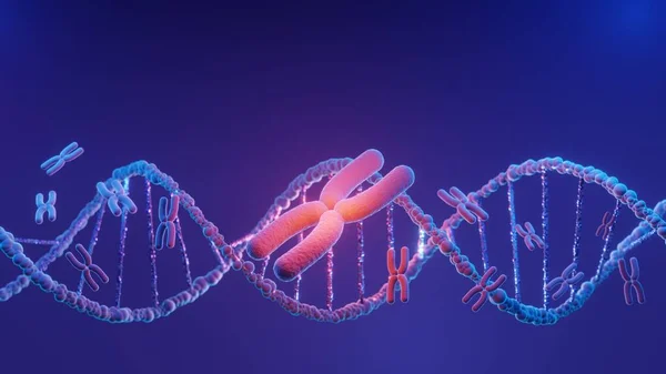 Dna Sarmal Yapısı Dna Helix Tamamlayıcı Dizi Genetik Kod Veya — Stok fotoğraf
