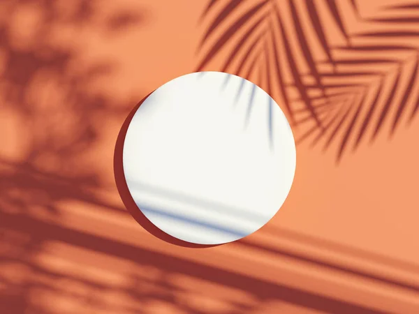 夏の背景を持つヤシの葉の影を持つ製品をモックアップし 表示するための白い空白のシリンダーフレームの3Dレンダリングトップビュー 創造的なアイデアのコンセプト — ストック写真