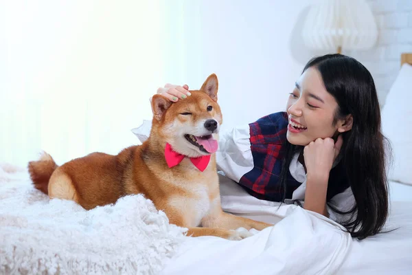 亚洲女人在床上摸着一条狗头 脸上挂着白皙的笑脸 — 图库照片