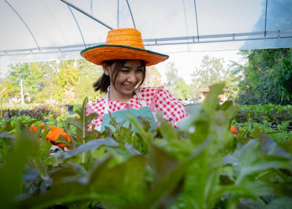Petani Wanita Asia Yang Cantik Dengan Senang Hati Merawat Kebun — Stok Foto