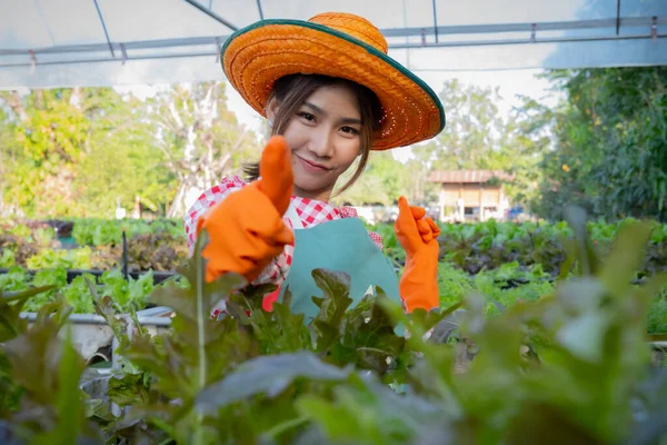 Petani Wanita Asia Yang Cantik Memperkenalkan Sayuran Organik Dengan Jempol — Stok Foto