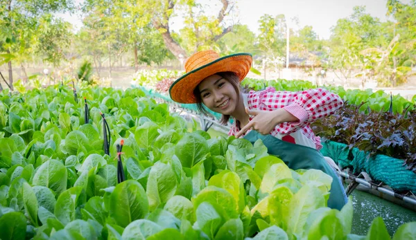 Petani Wanita Asia Yang Cantik Berdiri Dan Memperkenalkan Sayuran Organiknya — Stok Foto